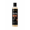 SHAMPOING NATUREL À L'ARGAN - SANS SULFATE | Femmes Enceintes